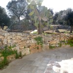 DSCN4375