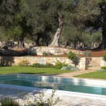 piscina 10