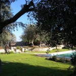 piscina 3