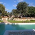 piscina 6