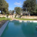 piscina 8