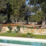 piscina 9